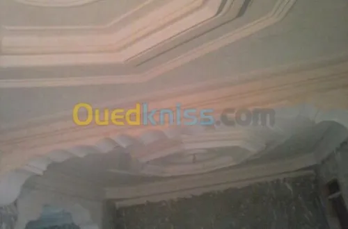 installation les rosaces en platre