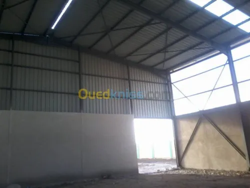 Hangar 