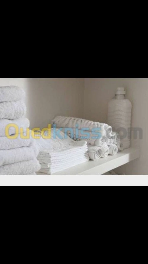Lavage séchage repassage 