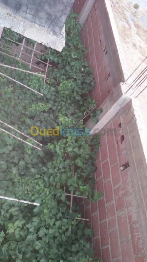 Vente Appartement F12 Batna Tazoult