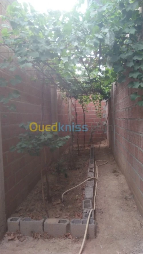 Vente Appartement F12 Batna Tazoult