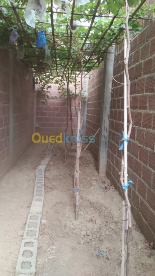Vente Appartement F12 Batna Tazoult