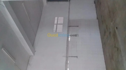 Location Hangar Alger Cheraga