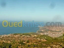 Vente Terrain Tlemcen Honaine