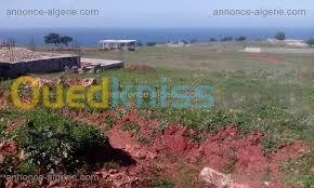 Vente Terrain Tlemcen Honaine