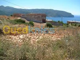 Vente Terrain Tlemcen Honaine