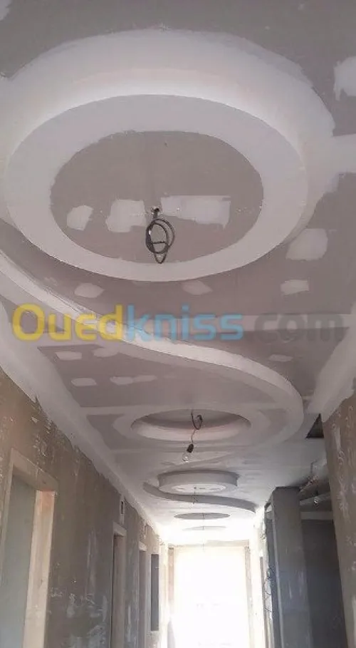 faux plafond placoplatre et revêtment