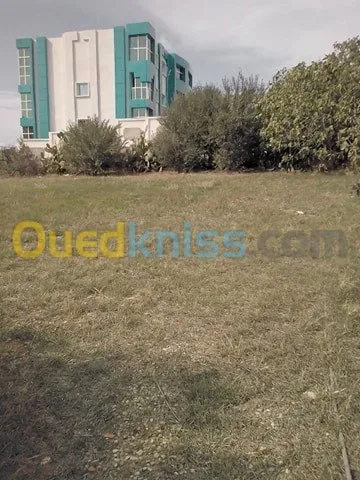 Vente Terrain Mila Zeghaia