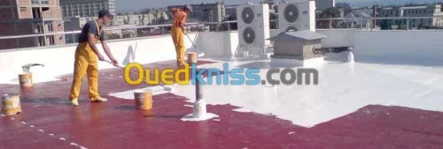 Vente et travaux d etanchieté liquide 