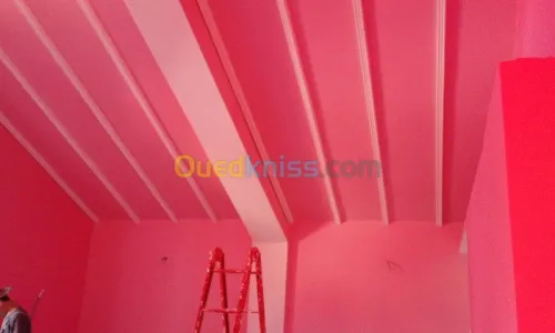 peinture inté/exté placo plâtre deco