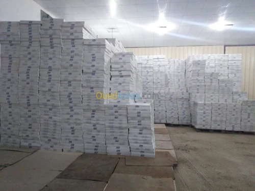 Faux Plafond demontable 60x60 