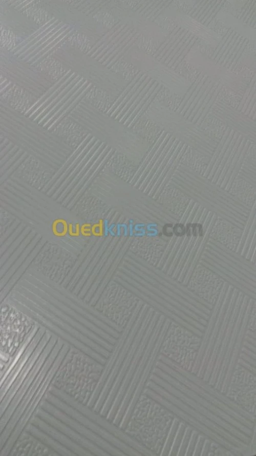 Faux Plafond demontable 60x60 