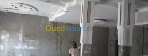  Faux plafond et revêtement décoratif