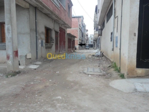 Vente Terrain Tipaza Hadjout