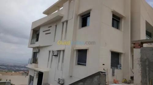 revetement des façades monocouche 