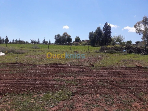 Vente Terrain Chlef Chlef
