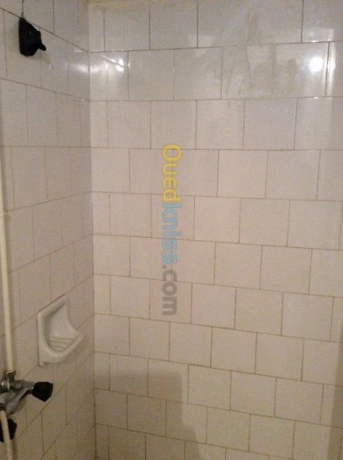 Vente Appartement F3 Alger Alger centre