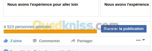 Publicité Sur Les Réseaux Sociaux