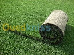 jardinage et F/P gazon