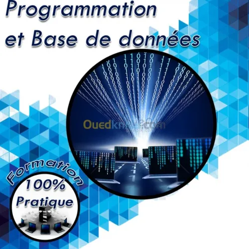 PROGRAMMATION ET BASES DE DONNEES