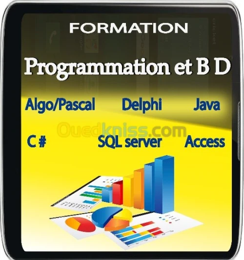 PROGRAMMATION ET BASES DE DONNEES