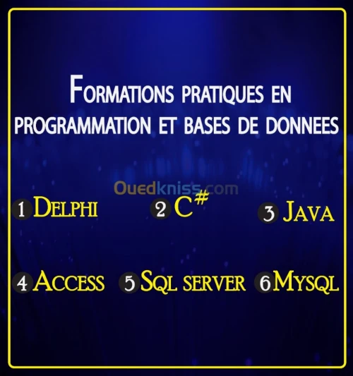 PROGRAMMATION ET BASES DE DONNEES