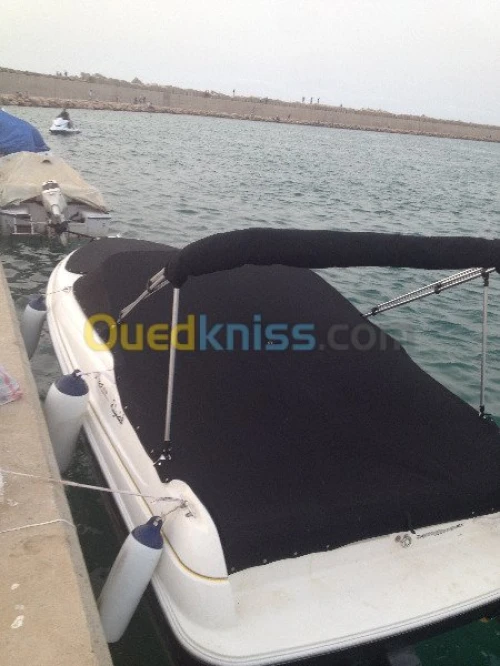 Bateau WellCraft 200CV V6 Volvo penta 2001