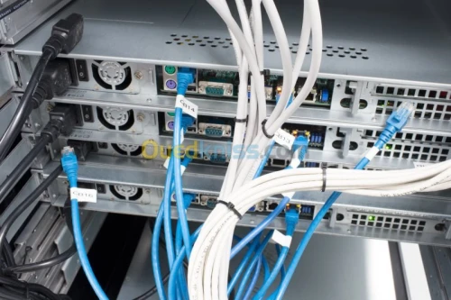 Installation/ Maintenance/Consultation