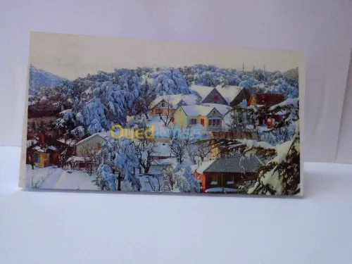 Impression Sérigraphie Publicité