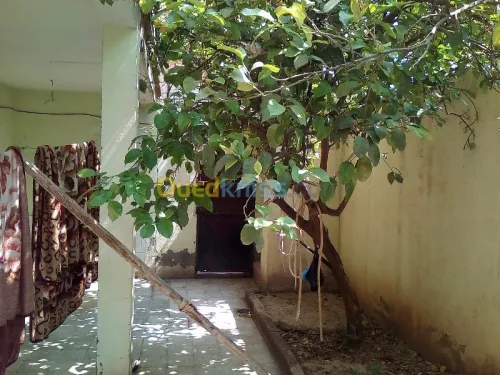 Vente Villa Relizane Oued rhiou