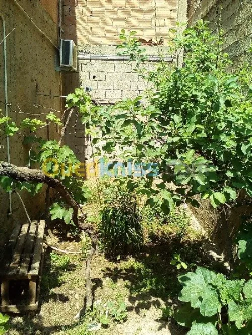 Vente Villa Relizane Oued rhiou