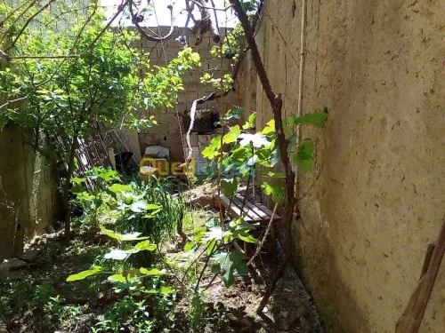 Vente Villa Relizane Oued rhiou