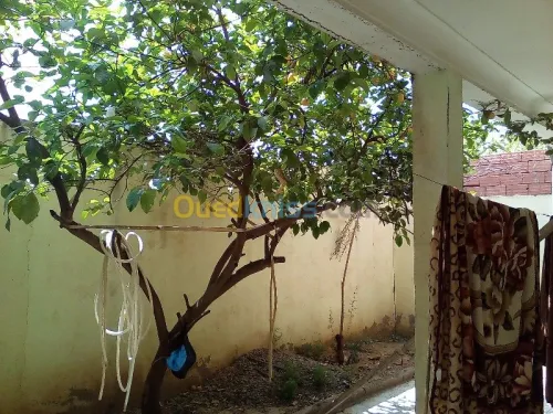 Vente Villa Relizane Oued rhiou
