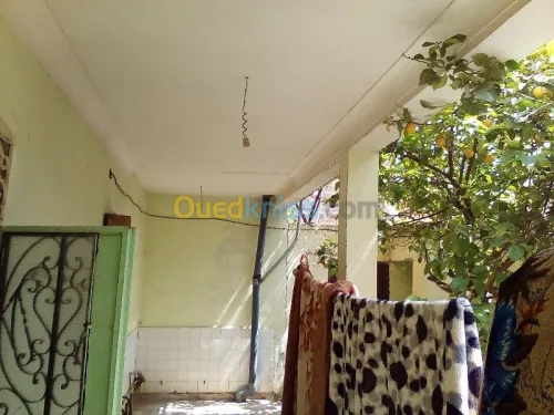 Vente Villa Relizane Oued rhiou