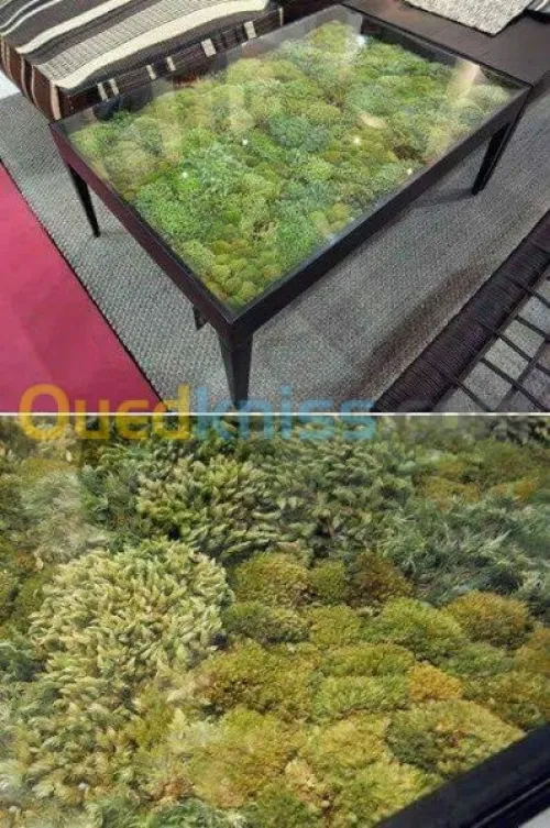 دورةالبلاكوبلاتر_ الايبوكسي3D