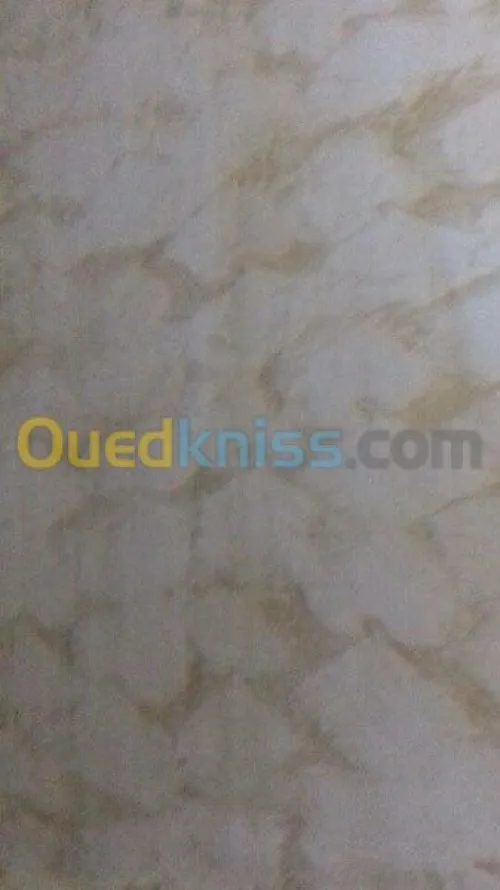 placo platre pvc et pantr dico + elect