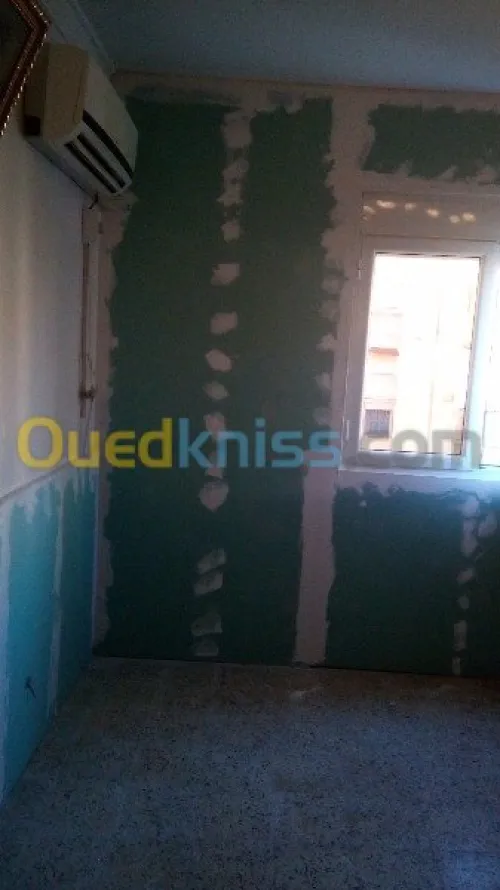 placo platre pvc et pantr dico + elect