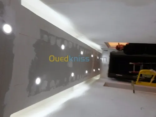 placo platre pvc et pantr dico + elect