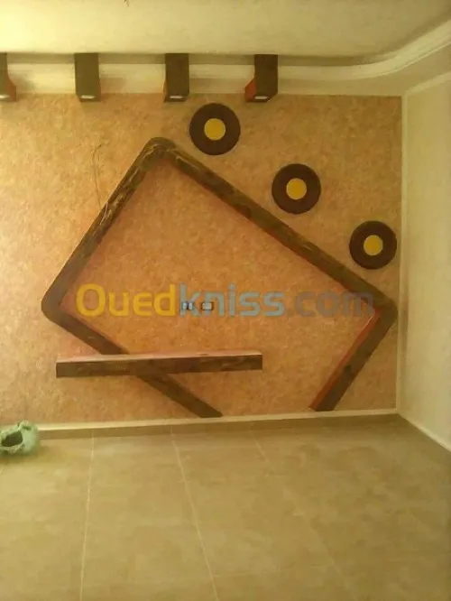 placo platre pvc et pantr dico + elect