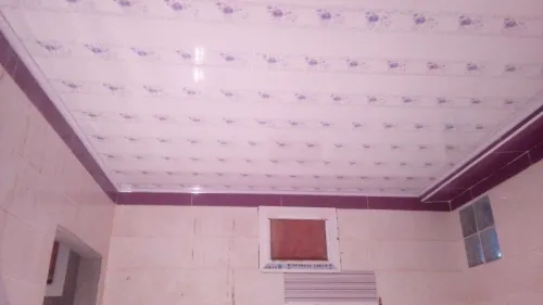 placo platre pvc et pantr dico + elect