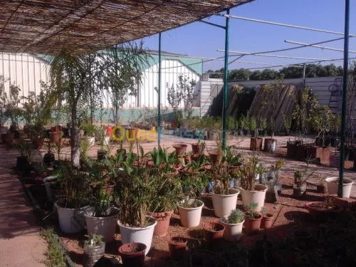 AGRICULTURE ET JARDINAGE