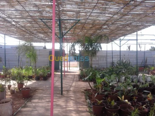 AGRICULTURE ET JARDINAGE
