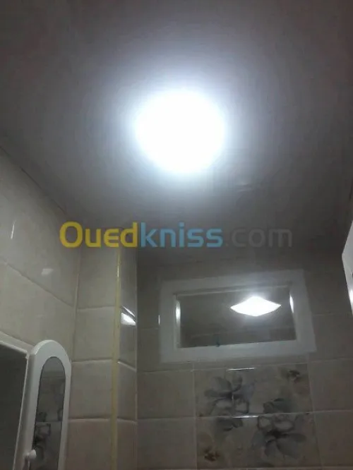 faux plafond & pvc