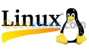 Réseau, Système d'exploitation et VoIP