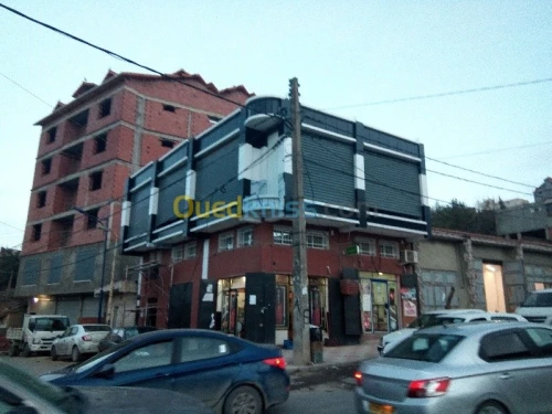façade alucodande mur rideau terre cui