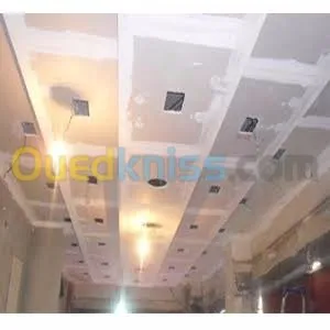 Décoration ont ba13 pvc plafond decapo