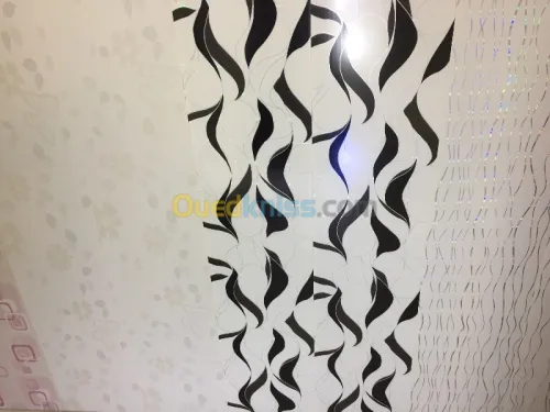 Vente et pose FAUX PLAFOND