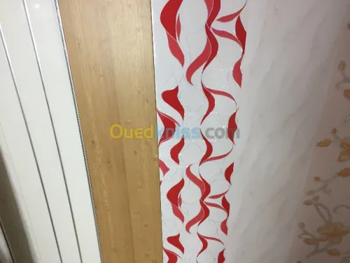 Vente et pose FAUX PLAFOND