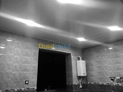 Vente et pose FAUX PLAFOND