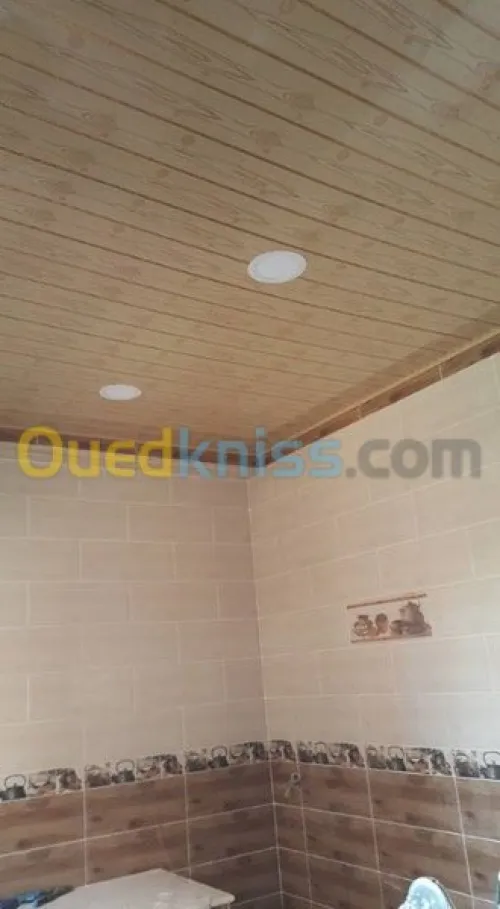 Vente et pose FAUX PLAFOND